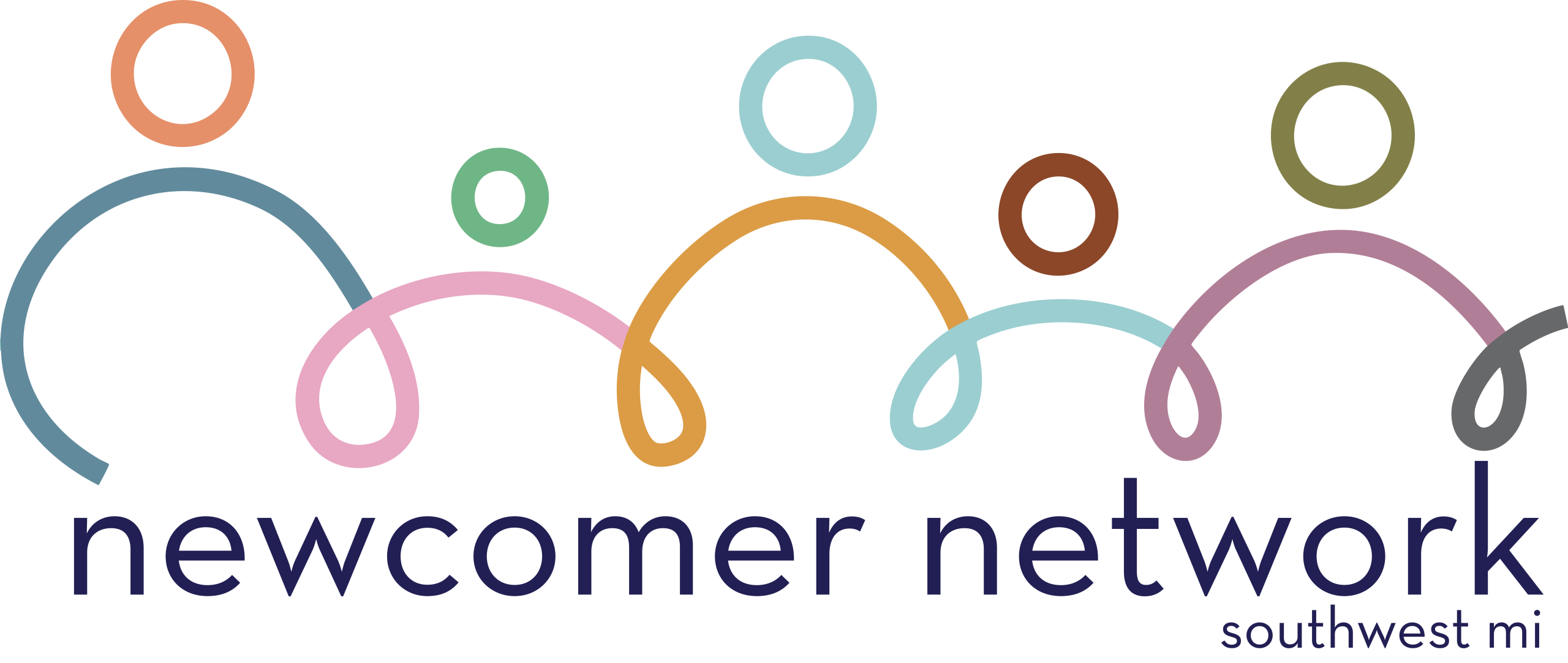 NNSWMI LOGO